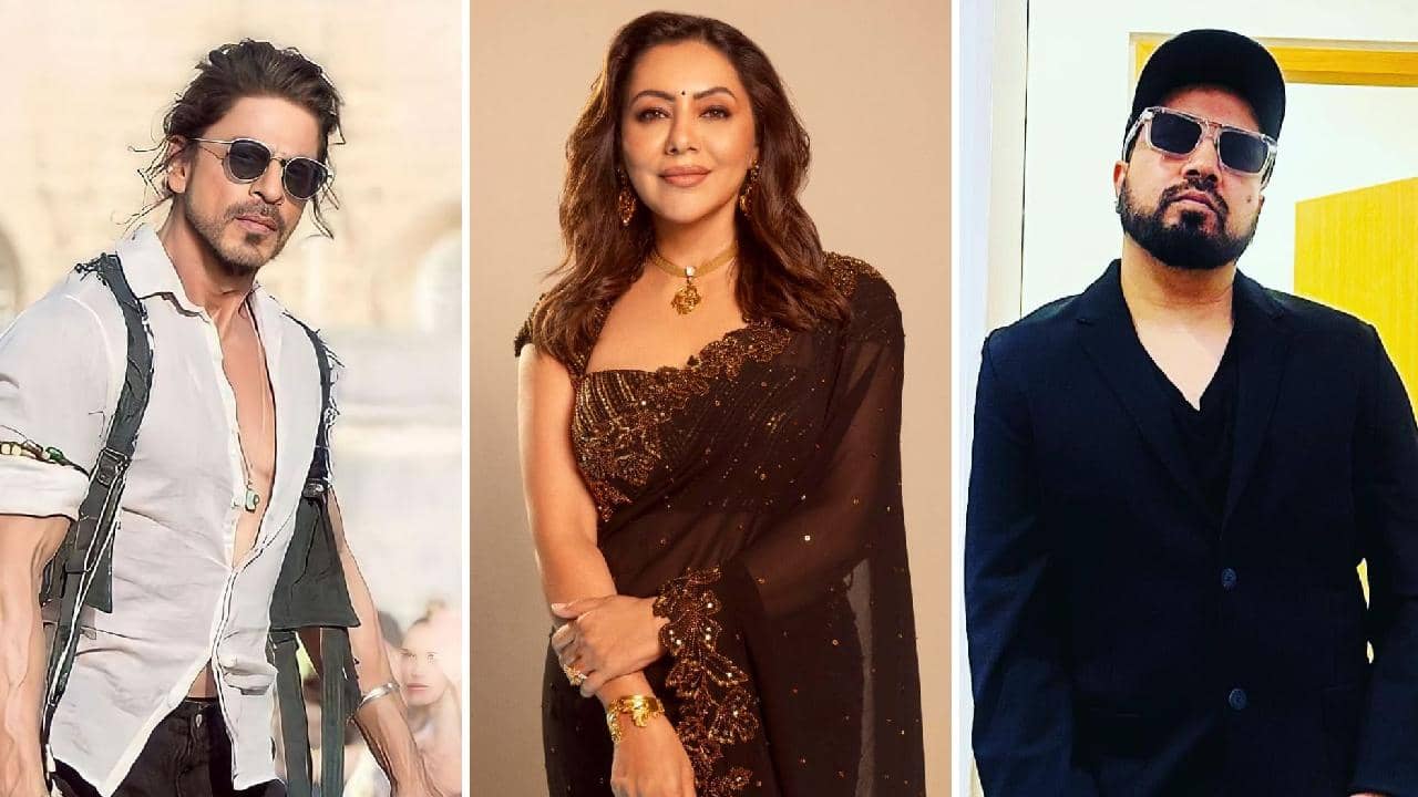 Shah Rukh Khan-Gauri khan: গৌরীর থেকে সাবধান! মিকাকে কেন বলেছিলেন শাহরুখ?