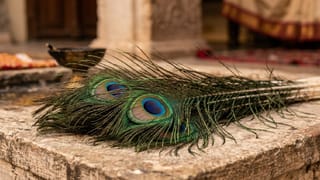 Peacock feathers Vastu tips: জীবনে ক্রমাগত বাধা? ময়ূরের পালকই বদলে দেবে আপনার ভাগ্য