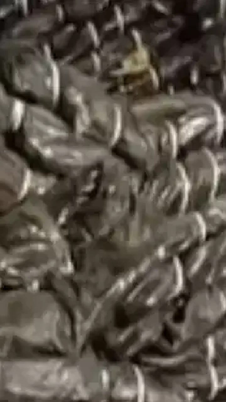 বারুইপুরে গোডাউন থেকে উদ্ধার বিপুল ত্রাণের ত্রিপল, কাঠগড়ায় তৃণমূলের জেলা পরিষদ কর্মাধ্যক্ষ