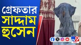 ঘুটিয়ারি শরিফে আগ্নেয়াস্ত্র-সহ ধৃত সাদ্দাম, পুলিশের জালে আরও এক
