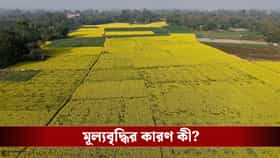 ধেয়ে আসছে 'এল নিনো', খরার পূর্বাভাসের মধ্যেই বাড়বে চাল-গমের দাম?