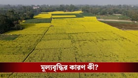 ধেয়ে আসছে 'এল নিনো', খরার পূর্বাভাসের মধ্যেই বাড়বে চাল-গমের দাম?
