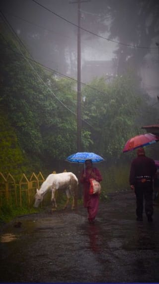 ভারী বৃষ্টির পূর্বাভাস, আজ ভাসবে কোন কোন জেলা?