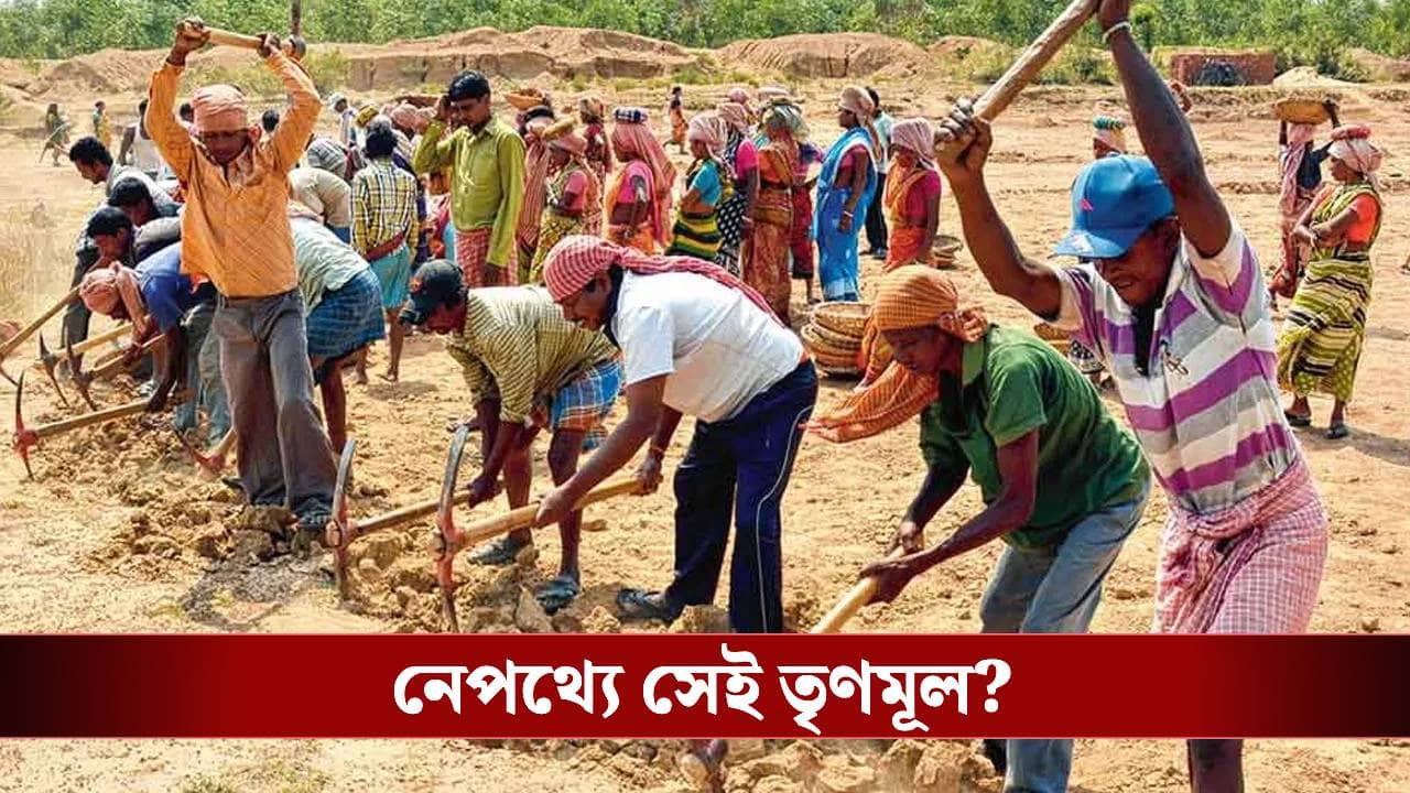125 Days Work: সবার মধ্যে এগিয়ে থেকেও এখনও এই জেলাতে বহু পঞ্চায়েতে শুরুই হয়নি ১২৫ দিনের কাজ, নেপথ্যে সেই তৃণমূল?