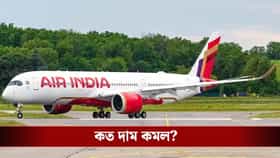 সস্তা হচ্ছে বিদেশ ভ্রমণ? যাত্রীদের জন্য স্বস্তির খবর দিল এয়ার ইন্ডিয়া
