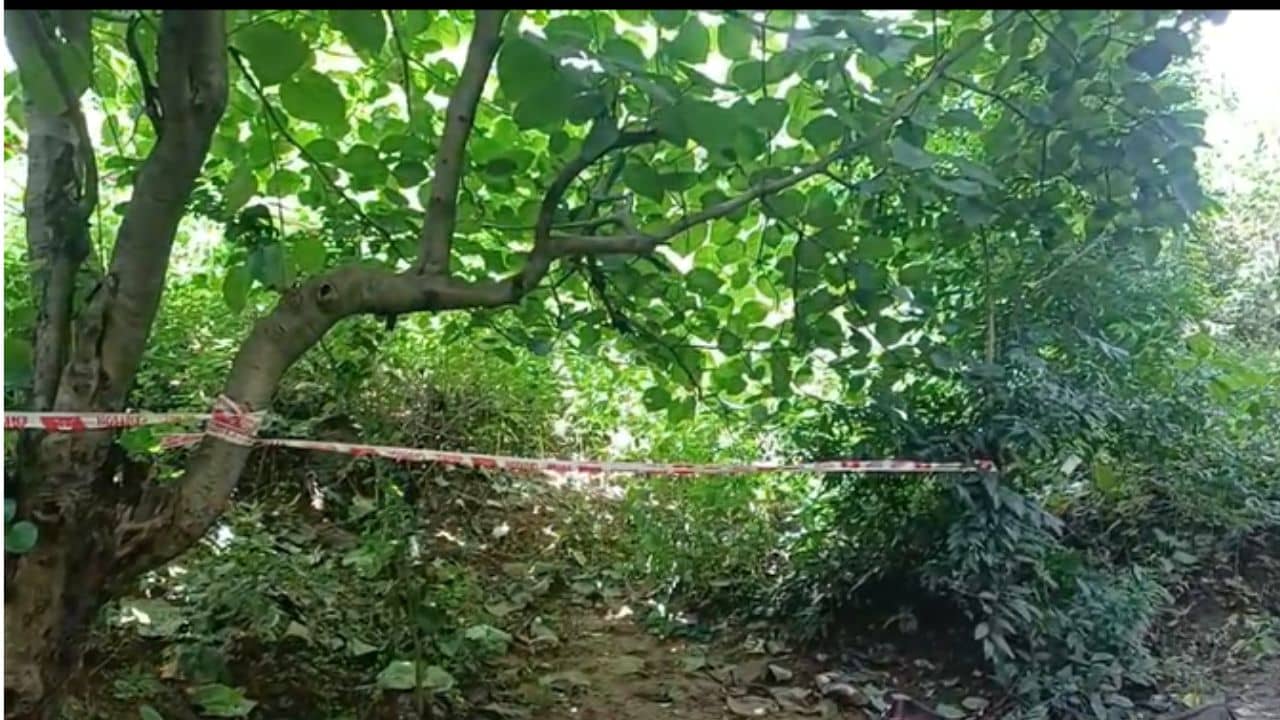 Asansol: বাড়ির পাশে জঙ্গল থেকে নিখোঁজ শিশুর দেহ উদ্ধার