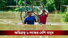 ৫০ জনের মৃত্যু, গত ২৪ ঘণ্টাতেই ১০! কেন প্রতি বছর বন্যার কবলে পড়ে অসম?