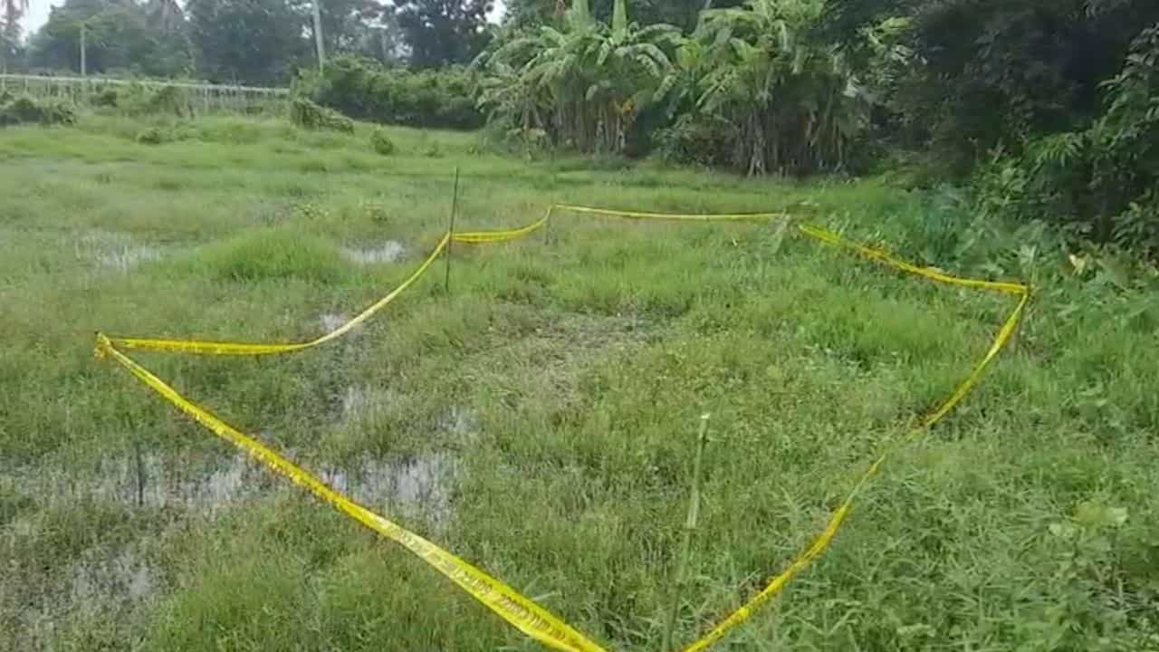 Baruipur news: 'বামপন্থীরা উল্টোদিকে দৌড়বে না তো...', বারুইপুর কাণ্ডে হঠাৎ কেন এ প্রশ্ন উঠল? Baruipur news: 'বামপন্থীরা উল্টোদিকে দৌড়বে না তো...', বারুইপুর কাণ্ডে হঠাৎ কেন এ প্রশ্ন উঠল?