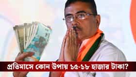 প্রতিমাসে ১৫ থেকে ১৮ হাজার টাকা! হিসাব কষে বুঝিয়ে দিলেন মুখ্যমন্ত্রী
