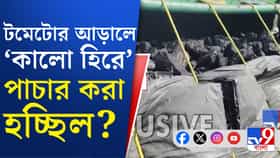পাচারের অভিনব ছক, পিক-আপ ভ্যান উল্টে যেতেই সামনে এল সবটা