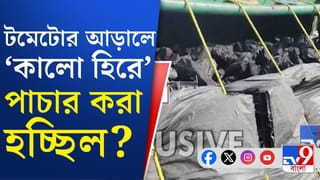পাচারের অভিনব ছক, পিক-আপ ভ্যান উল্টে যেতেই সামনে এল সবটা
