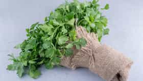 ধনে পাতা তো খান, ডাটা ফেলে দিয়ে বড় ভুল করে ফেলছেন না তো?