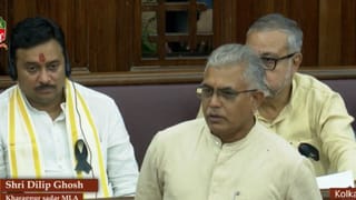 Assembly: গ্রাম প্রধানদের হাত থেকে কেড়ে নেওয়া হল ক্ষমতা, বিধানসভায় পাশ পঞ্চায়েত সংশোধনী বিল