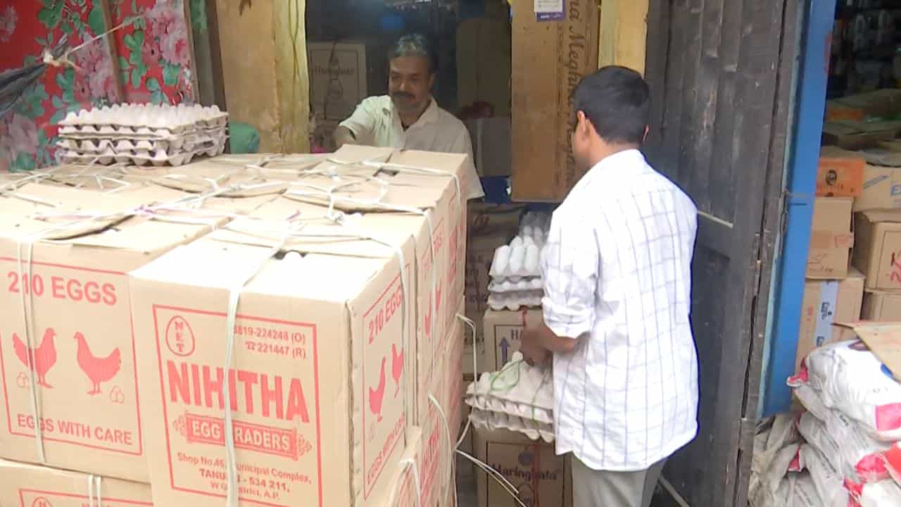 Malda: এতদিন চড়া দামে বিকিয়েছে, এখনও সাজানো পেটি পেটি ডিম, কিন্তু তার কী হবে? রাতারাতি এই ঘটনায় দুশ্চিন্তায় ব্যবসায়ীরা Malda: এতদিন চড়া দামে বিকিয়েছে, এখনও সাজানো পেটি পেটি ডিম, কিন্তু তার কী হবে? রাতারাতি এই ঘটনায় দুশ্চিন্তায় ব্যবসায়ীরা