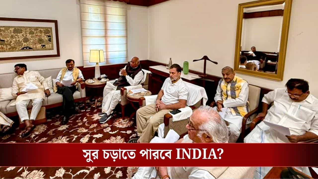 Parliament INDIA Alliance: প্রতিদিন একটি করে জনস্বার্থ ইস্যু, কেন্দ্রকে চাপে ফেলতে কী স্ট্র্যাটেজি কষছে INDIA জোট? Parliament INDIA Alliance: প্রতিদিন একটি করে জনস্বার্থ ইস্যু, কেন্দ্রকে চাপে ফেলতে কী স্ট্র্যাটেজি কষছে INDIA জোট?