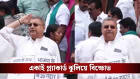 সাসপেনশনের পরদিনই সংসদে বিক্ষোভ কল্যাণের, ফের 'গদ্দার' আক্রমণ কাকলিদের