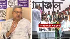 'দিদিই তৃণমূলটা শেষ করবেন', হাঁড়ির খবর ফাঁস করে বোমা ফাটালেন কল্যাণ