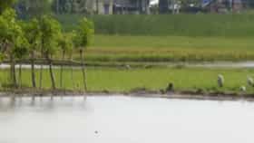 ই-কমার্স সংস্থাকে জমি বন্টনে দুর্নীতি? CAG রিপোর্টে বিস্ফোরক তথ্য