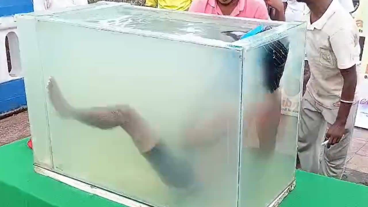 Howrah: কিলবিল করছে মাছ, ২৪ ঘণ্টা ধরে অ্যাকোয়ারিয়ামে ডুবে বসে আছেন হাওড়ার মুকেশ
