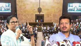 রাজ্যসভা নির্বাচনে জোড়া ফুল নিয়ে দড়ি টানাটানি শুরু মমতা-ঋত তৃণমূলের