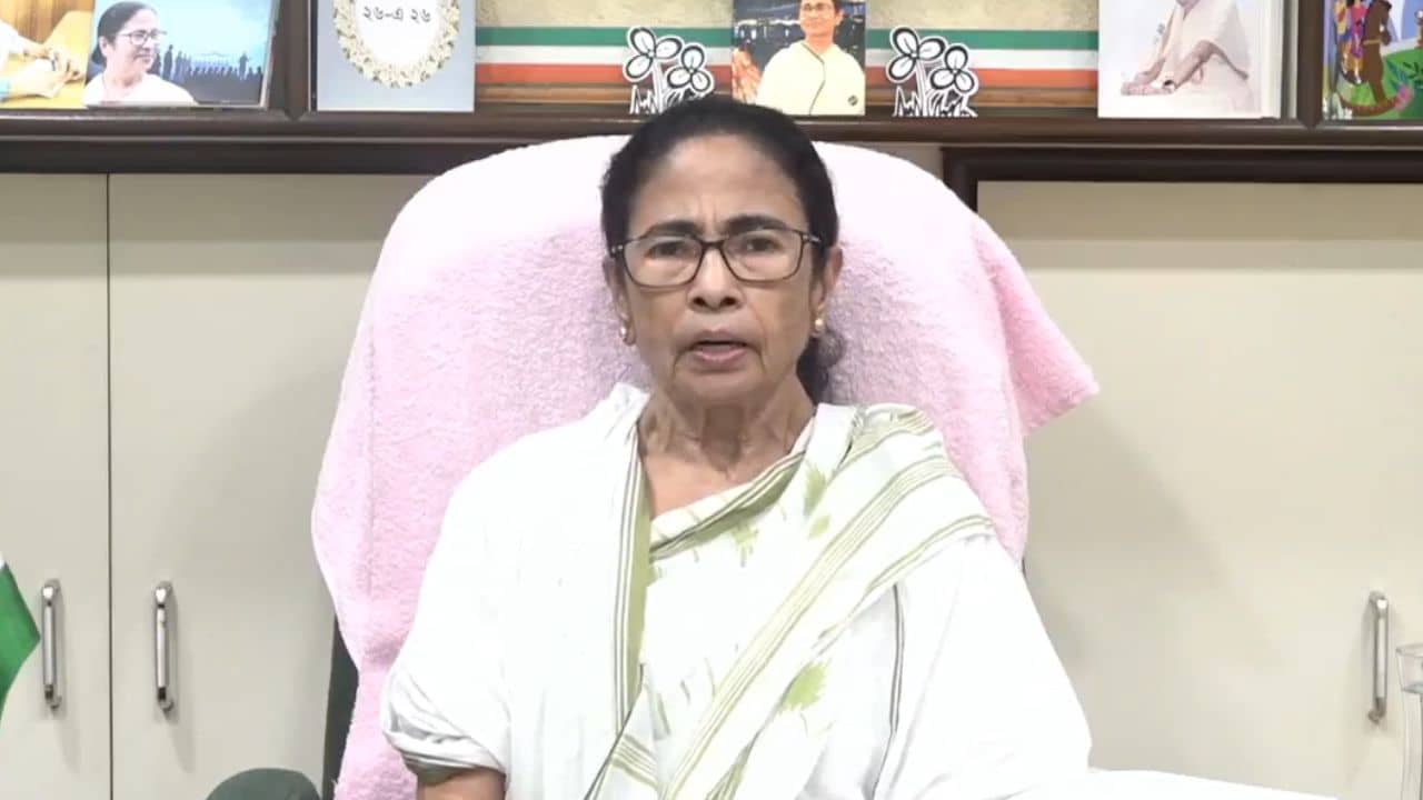 Mamata Banerjee: কালীঘাট তৃণমূল কি দলের প্রতীক হারাবে? এবার মুখ খুললেন স্বয়ং মমতা