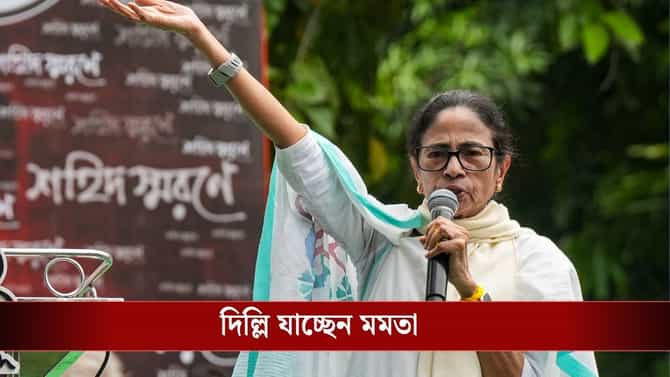 'ককরোচ'দের পাশে মমতা, সোমবারই দিল্লিতে ধর্নায় যোগ দেবেন