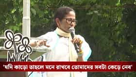 সিম্বল ছাড়ব না, সুপ্রিম কোর্ট পর্যন্ত যাব: মমতা
