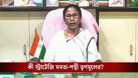 রাজ্যে নড়বড়ে অবস্থা, দিল্লিতে সব শক্তি নিয়ে ঝাঁপাচ্ছে মমতা-পন্থী TMC