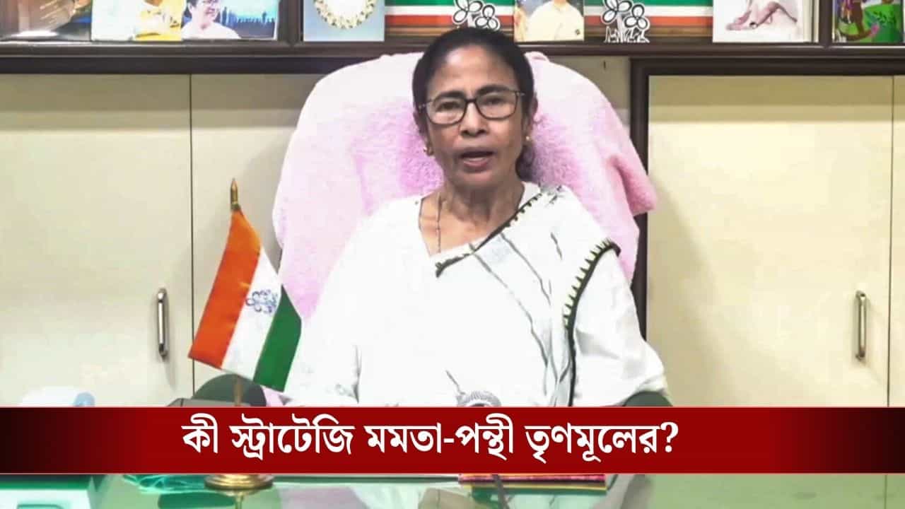 Mamata Banerjee TMC: রাজ্যে নড়বড়ে অবস্থা, দিল্লিতে সব শক্তি নিয়ে ঝাঁপাচ্ছে মমতা-পন্থী তৃণমূল, কী স্ট্র্যাটেজি তাঁদের? Mamata Banerjee TMC: রাজ্যে নড়বড়ে অবস্থা, দিল্লিতে সব শক্তি নিয়ে ঝাঁপাচ্ছে মমতা-পন্থী তৃণমূল, কী স্ট্র্যাটেজি তাঁদের?