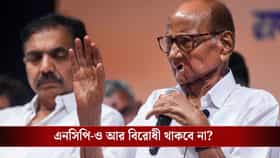 পওয়ারের গেম! আসন পুনর্বিন্যাস বিলে সরকারকেই সমর্থন করতে পারে NCP?