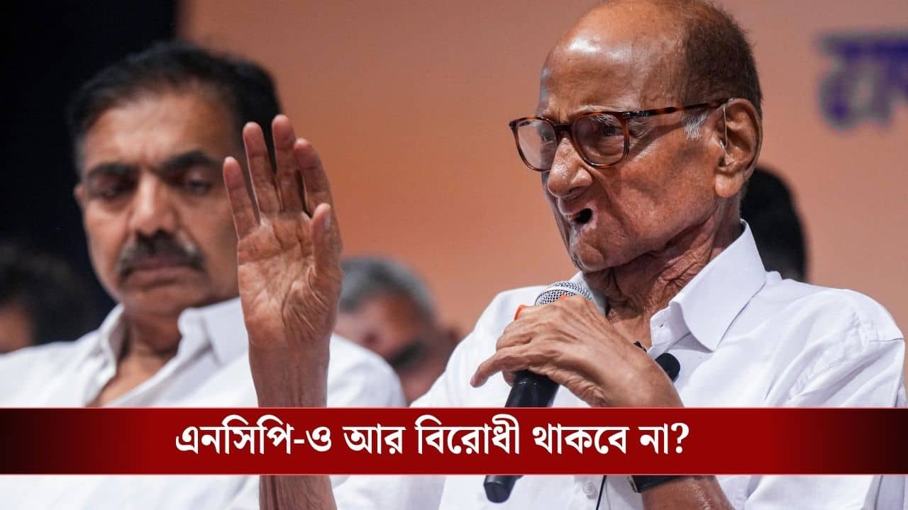 Sharad Pawar NCP: রঙ পাল্টে ফেলছেন শরদ পওয়ারও? আসন পুনর্বিন্যাস বিলে সরকারকেই সমর্থন করতে পারে NCP
