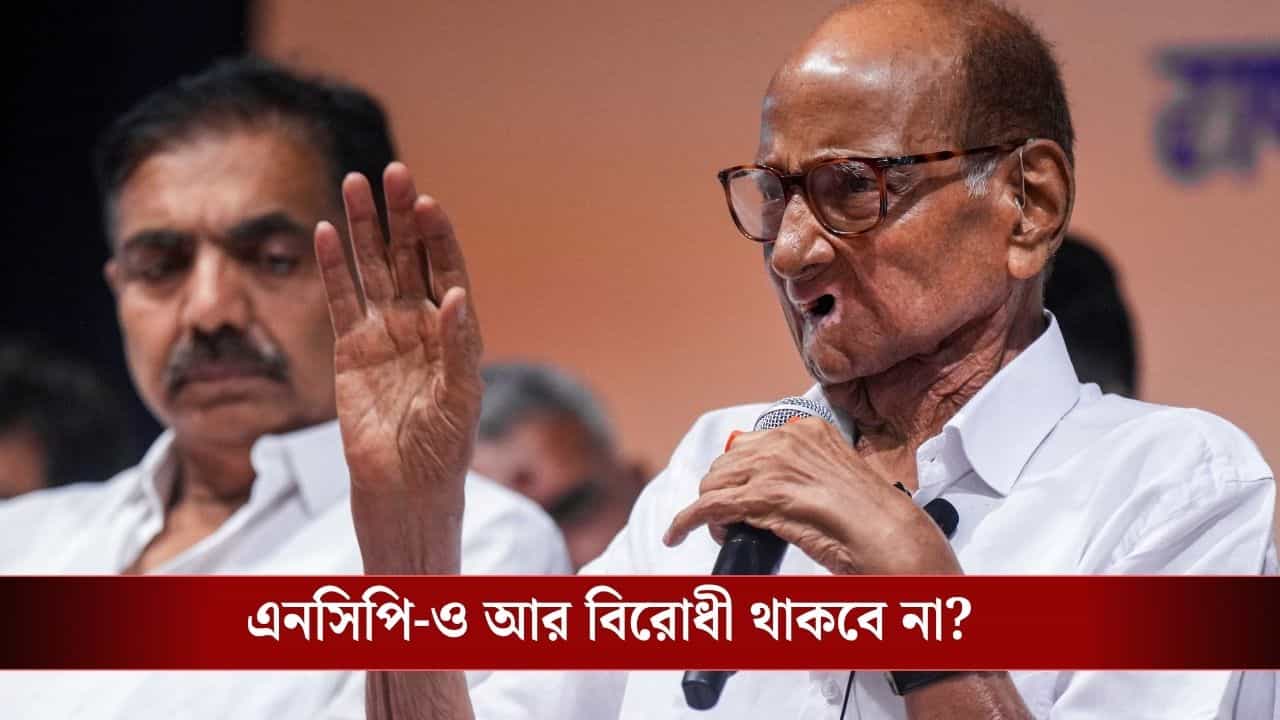 Sharad Pawar NCP: রঙ পাল্টে ফেলছেন শরদ পওয়ারও? আসন পুনর্বিন্যাস বিলে সরকারকেই সমর্থন করতে পারে NCP Sharad Pawar NCP: রঙ পাল্টে ফেলছেন শরদ পওয়ারও? আসন পুনর্বিন্যাস বিলে সরকারকেই সমর্থন করতে পারে NCP