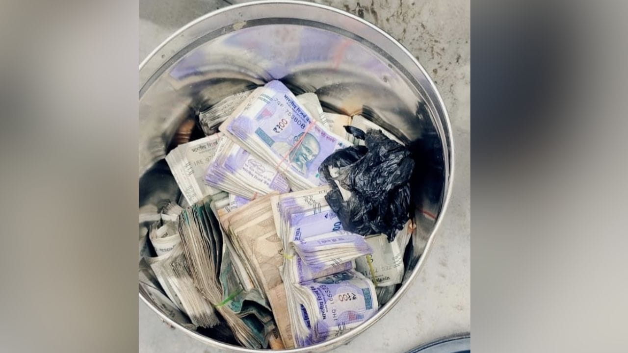 Nadia Cash Recovered