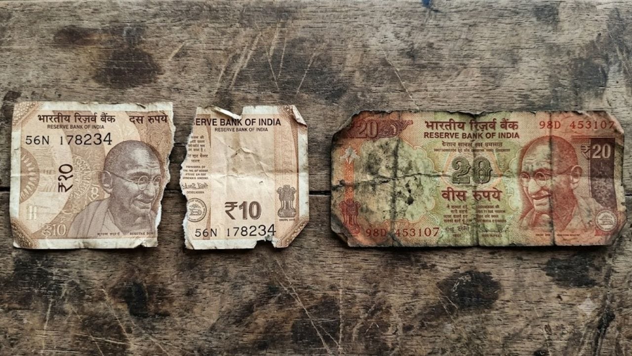 Torn Note: নোট কতটা ছিঁড়লে ফেরত নেবে ব্যাঙ্ক? কীভাবেই বা দেবেন জমা? ধাপে ধাপে জেনে নিন নিয়ম