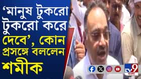 'কাশ্মীর মাঙ্গে আজাদি' স্লোগান দিলে কী হবে? জানিয়ে দিলেন শমীক