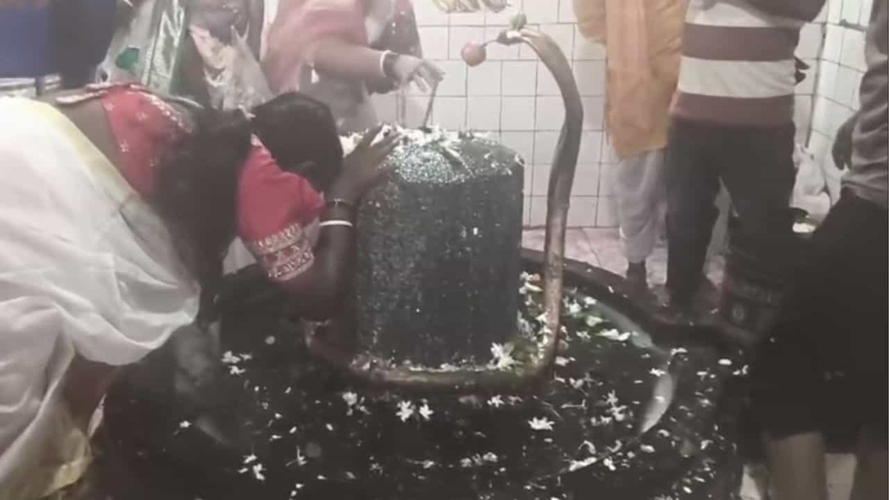 Shiv Mandir: যতদিন যাচ্ছে শিবলিঙ্গের উচ্চতা নাকি বাড়ছে, তারকেশ্বর নয়, বাংলার এই জায়গায় মহাদেবের মাথায় জল ঢালতে আসেন কাতারে-কাতারে ভক্ত Shiv Mandir: যতদিন যাচ্ছে শিবলিঙ্গের উচ্চতা নাকি বাড়ছে, তারকেশ্বর নয়, বাংলার এই জায়গায় মহাদেবের মাথায় জল ঢালতে আসেন কাতারে-কাতারে ভক্ত