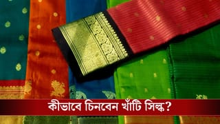 Silk Saree: আসল সিল্কের শাড়ি দোকানে গেলে চিনতে পারেন না? টুক করে সহজ উপায়গুলি জেনে নিন