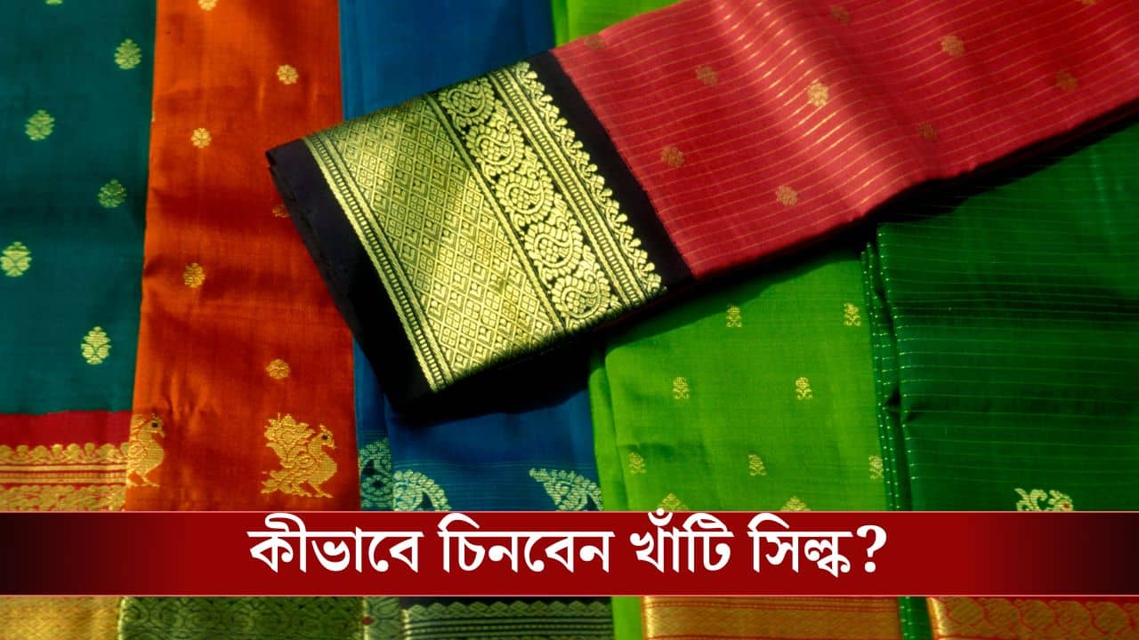 Silk Saree: আসল সিল্কের শাড়ি দোকানে গেলে চিনতে পারেন না? টুক করে সহজ উপায়গুলি জেনে নিন