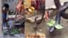 জ্যান্ত কেউটে কাটে না কাউকে, স্নান করে দুধে, কালনার গ্রামে আজব ঘটনা