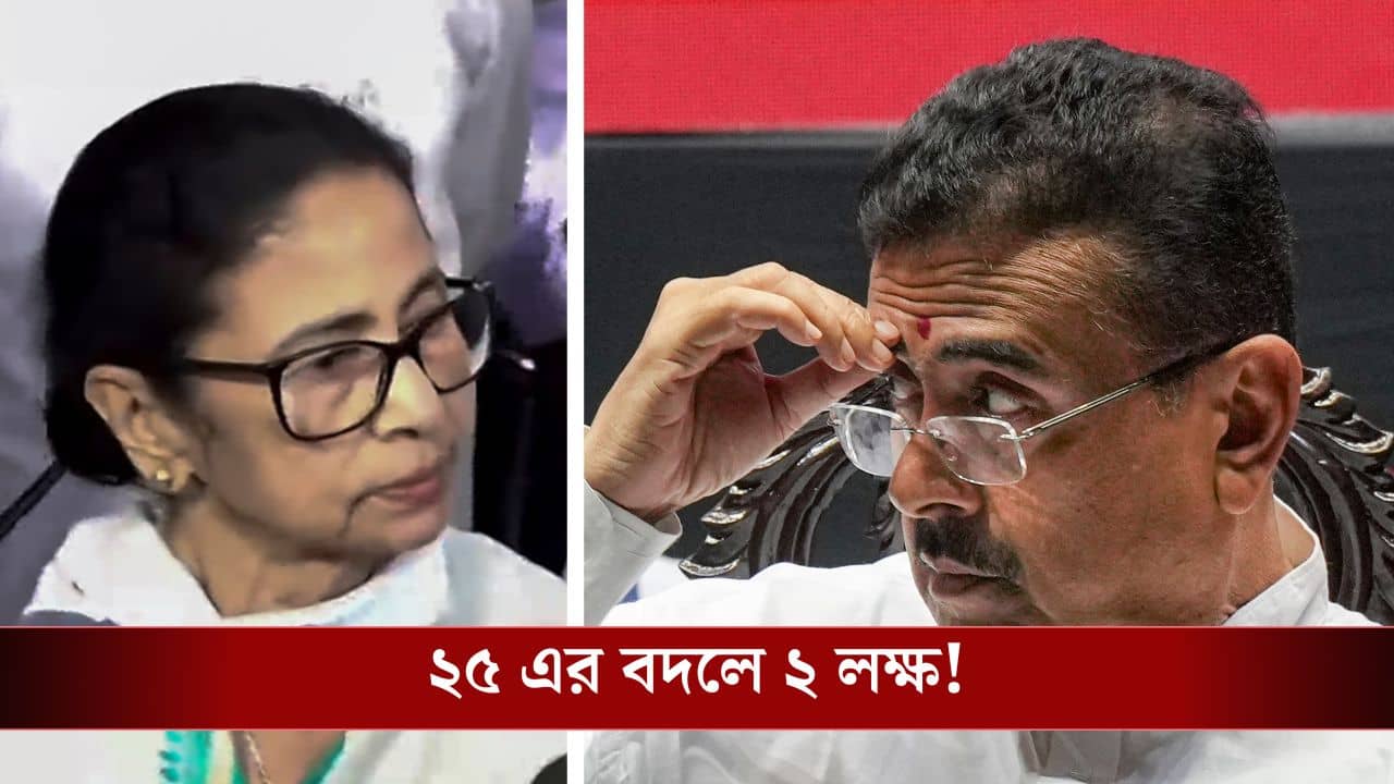 Suvendu Adhikari news: শহিদদের পরিবারকে ২৫ লক্ষের বদলে ২ লক্ষ দেন মমতা, রিপোর্ট তুলে ধরলেন শুভেন্দু
