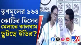 তৃণমূলের অ্যাকাউন্টে ১৬৪ কোটির গেরো! হিসেব মেলাতে নাজেহাল ED