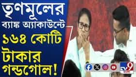 তৃণমূলের মূল অ্যাকাউন্টে বিপুল লেনদেনে নজর ইডির