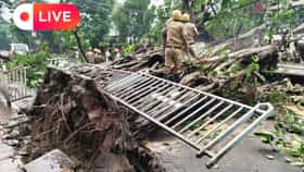 Live: দফায় দফায় বৃষ্টি, জলমগ্ন শহর, গাছ পড়ে বন্ধ স্ট্র্যান্ড রোড