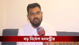 ম্যানগ্রোভ ধ্বংস করে কীভাবে হত রিসর্ট? পিছনে কারা ছিল? সামনে আসবে সব