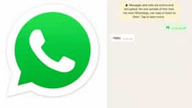 WhatsApp আনছে নতুন User ID ফিচার, কেন গভীর উদ্বেগে কেন্দ্রীয় সরকার?