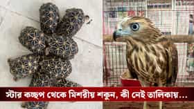 CBI-DRI যৌথ অভিযানে বাংলায় বন্যপ্রাণী পাচার চক্রের বিরাট পর্দাফাঁস
