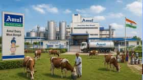 বাংলাকে 'আমূল' বদলে দেবে Amul! কীভাবে জানুন?