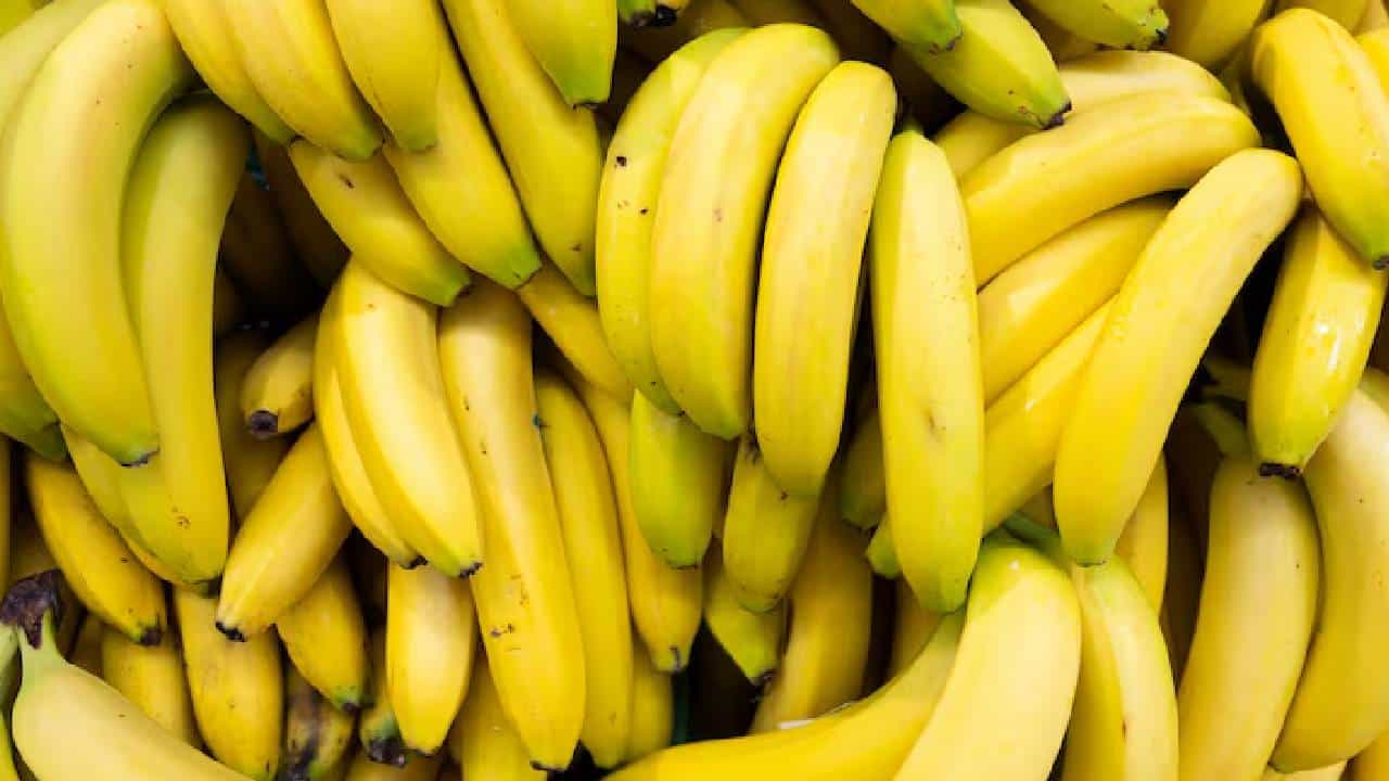 Identify carbide ripened bananas: বাজারের কলাতে বিষ! ডাঁটি দেখেই আসল গাছপাকা কলা চেনার কায়দাটা শিখে নিন Identify carbide ripened bananas: বাজারের কলাতে বিষ! ডাঁটি দেখেই আসল গাছপাকা কলা চেনার কায়দাটা শিখে নিন