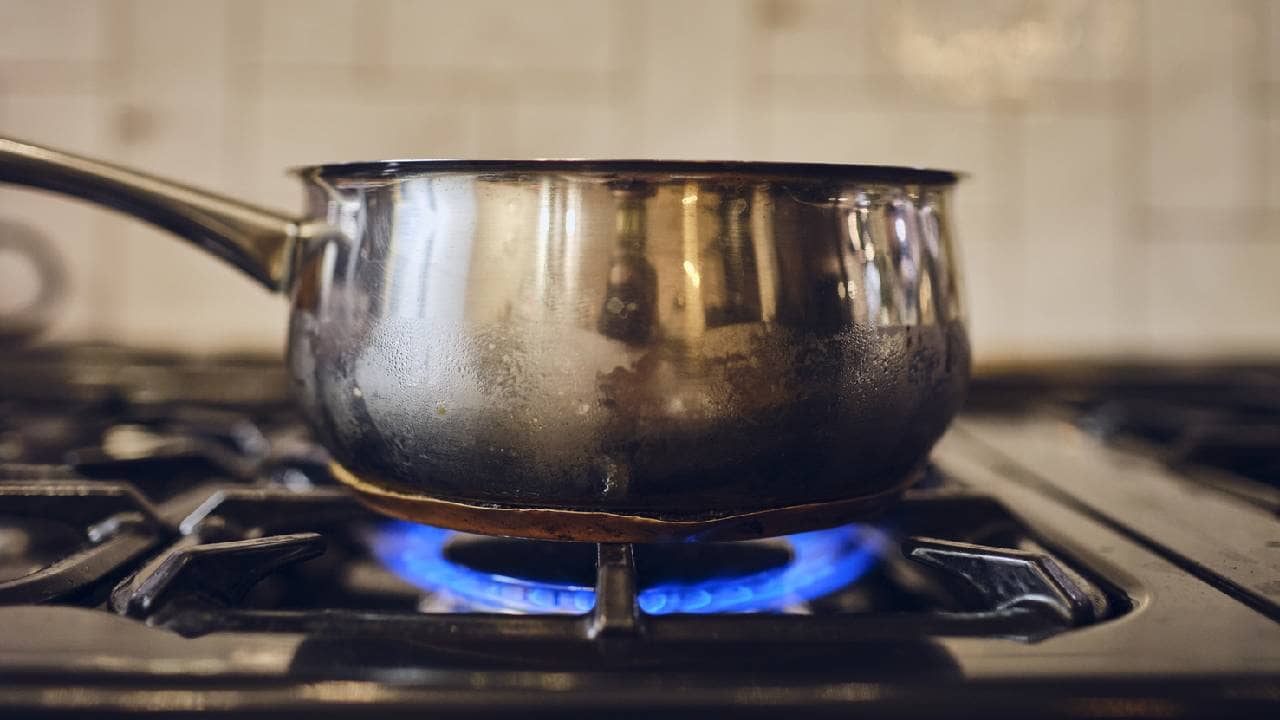 LPG gas saving tips: রান্নাও হবে ঝটপট বাঁচবে গ্যাসও, রান্নাঘরের এই টিপস দারুণ কাজের