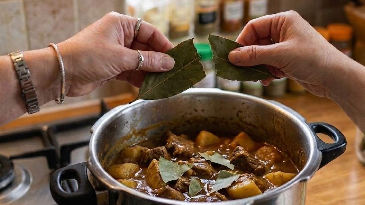 তার মানে কি স্বাদ আর সুগন্ধের জন্য রান্নায় তেজপাতা দেওয়া একদমই ছেড়ে দিতে হবে এমন কিন্তু মোটেও নয়। প্রেশার কুকারে তেজপাতা অবশ্যই ব্যবহার করবেন তবে তা দেওয়ার সময় আস্ত না দিয়ে সব সময় মাঝখান থেকে ছিঁড়ে ছোট ছোট টুকরো করে দেওয়া উচিত। পাতা ছোট টুকরো করে দিলে তা আকারে ছোট হওয়ার কারণে ভেন্ট পাইপের মুখে গিয়ে পুরোপুরি আটকে যাওয়ার মতো বড় থাকে না। Gemini AI